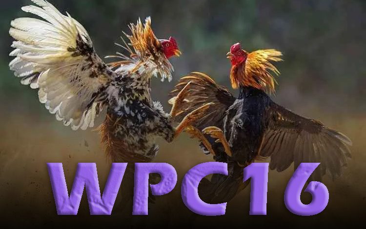 WPC16